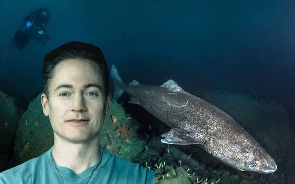 Bryan Johnson Changes Diet to Whale Meat, Moves to Bottom of Ocean after Learning Greenland Sharks Live 400 Years