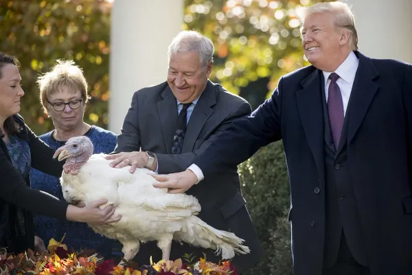 Trump Pardons Turkey for Role in January 6th